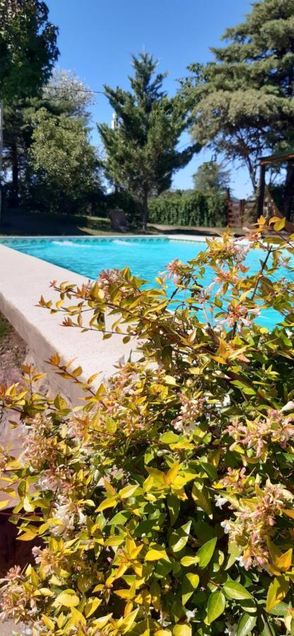 Cabanas Farah Estancia Vieja Ideal Para 2 A 3 Huespedes Villa Carlos Paz Esterno foto